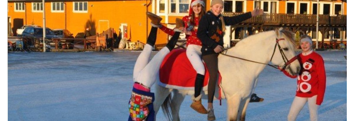 JULESTEVNE PÅ AGR